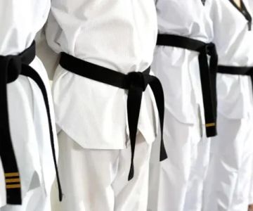 How to Progress Faster Through the Tae Kwon Do Belt Ranks: Tips and Strategies