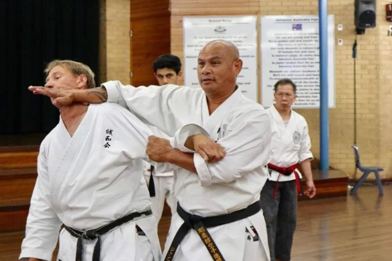 How to Perform a Basic Knife Hand Block Against High Section Attacks