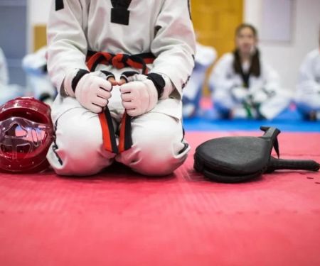 What Are the Most Effective Tae Kwon Do Training Tools and Equipment?