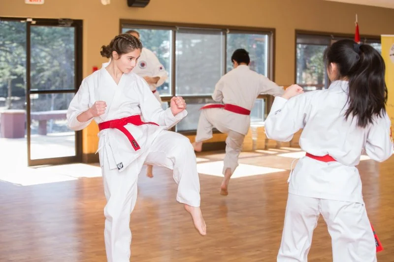 How to Find Tae Kwon Do Schools With Makeup Classes for Missed Sessions
