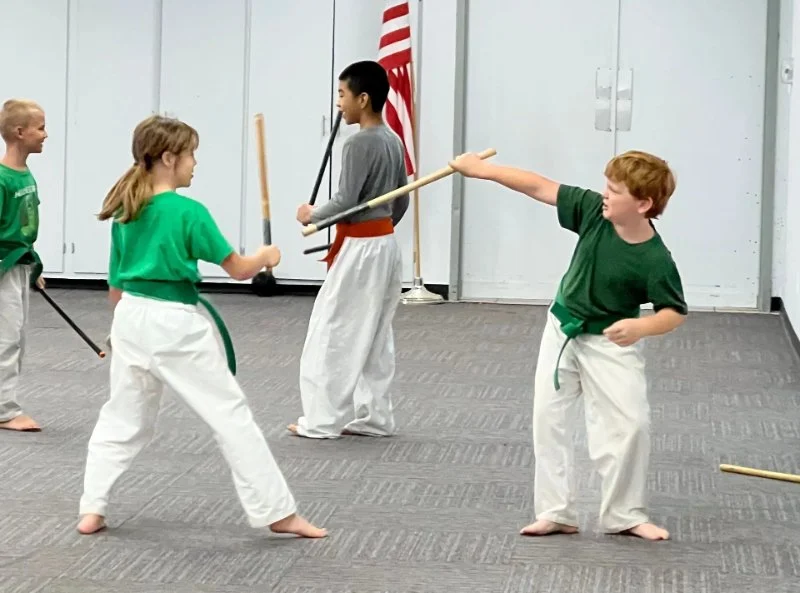 The Importance of Consistency in Tae Kwon Do Practice and Training