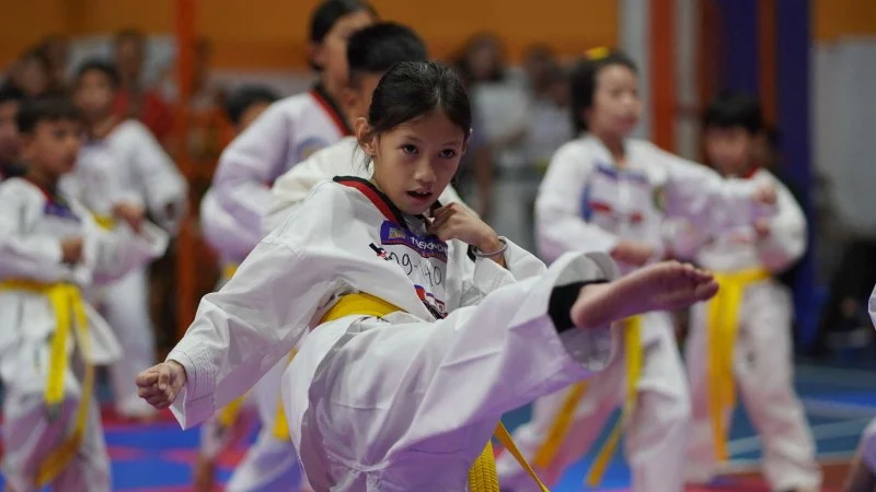 Complete Basic Tae Kwon Do Kicks Every White Belt Must Master