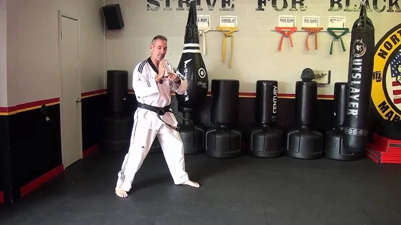 How to Perform a Basic Palm Heel Strike With Body Weight Transfer for Power