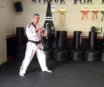 How to Perform a Basic Palm Heel Strike With Body Weight Transfer for Power