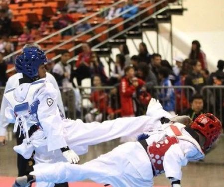 The Complete Guide to Tae Kwon Do Shin Guards and Proper Fit