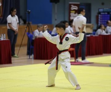 Why You Should Set a Timeline for Tae Kwon Do Belt Progression