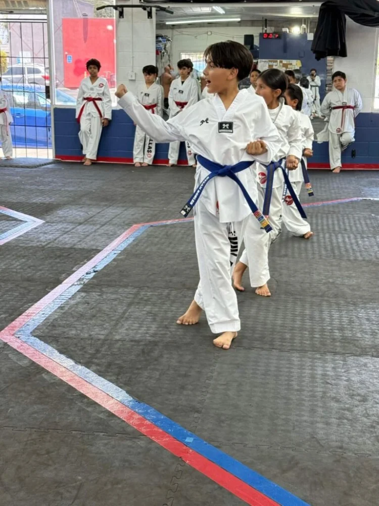 Average Cost of Tae Kwon Do Lessons in NYC and Los Angeles Explained